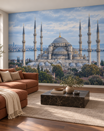 Blue Mosque Wall Murals – Istanbul Domes and Minarets